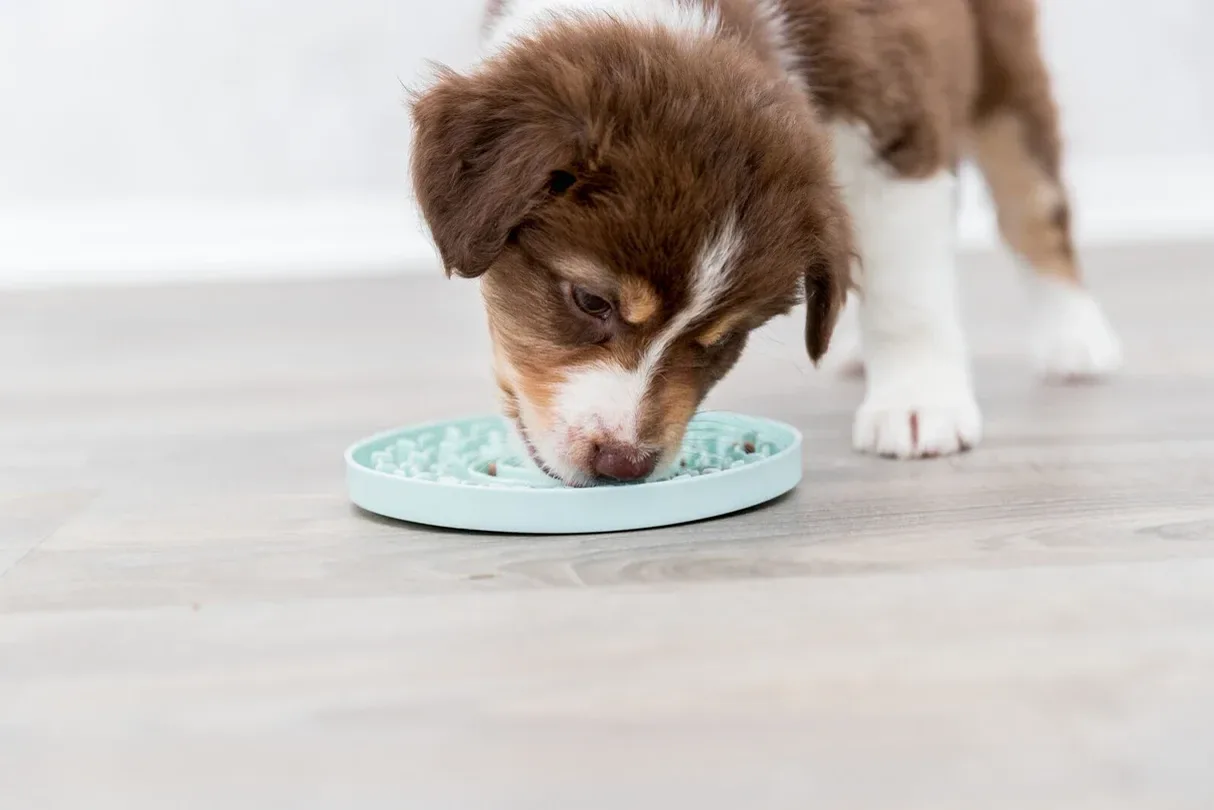 Junior Lick Plate for Puppies | Slow Feeder Treat Mat 15cm