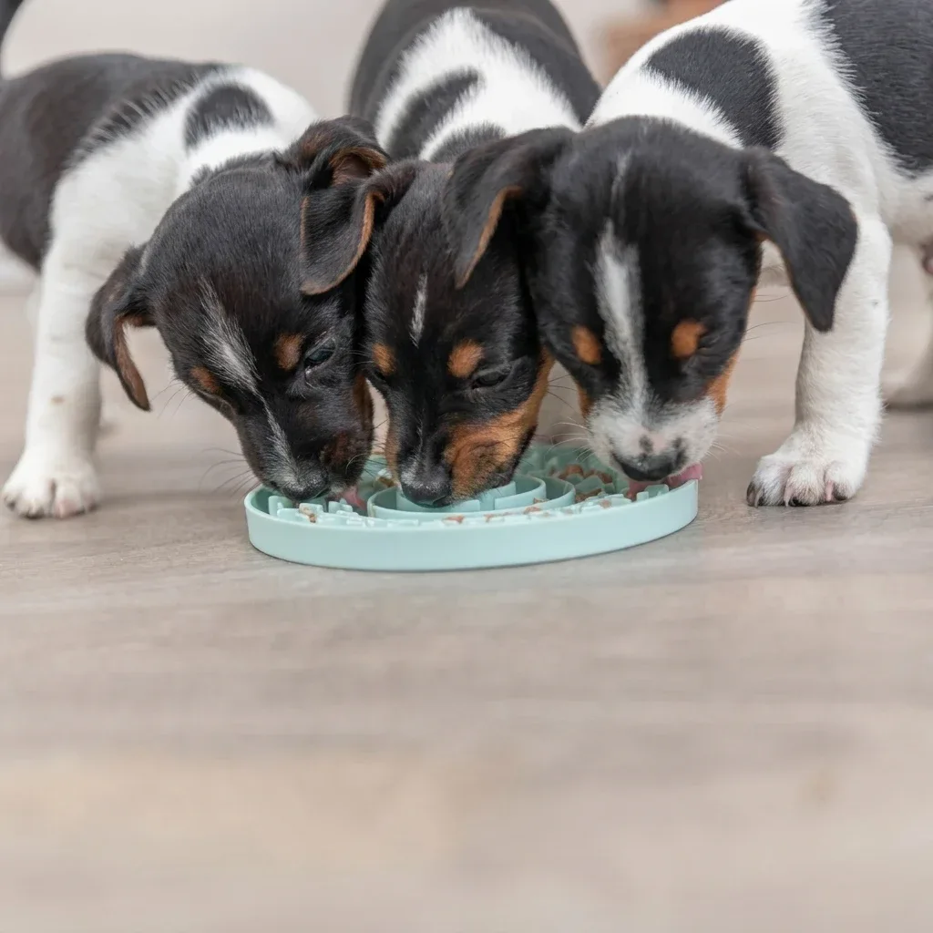 Junior Lick Plate for Puppies | Slow Feeder Treat Mat 15cm